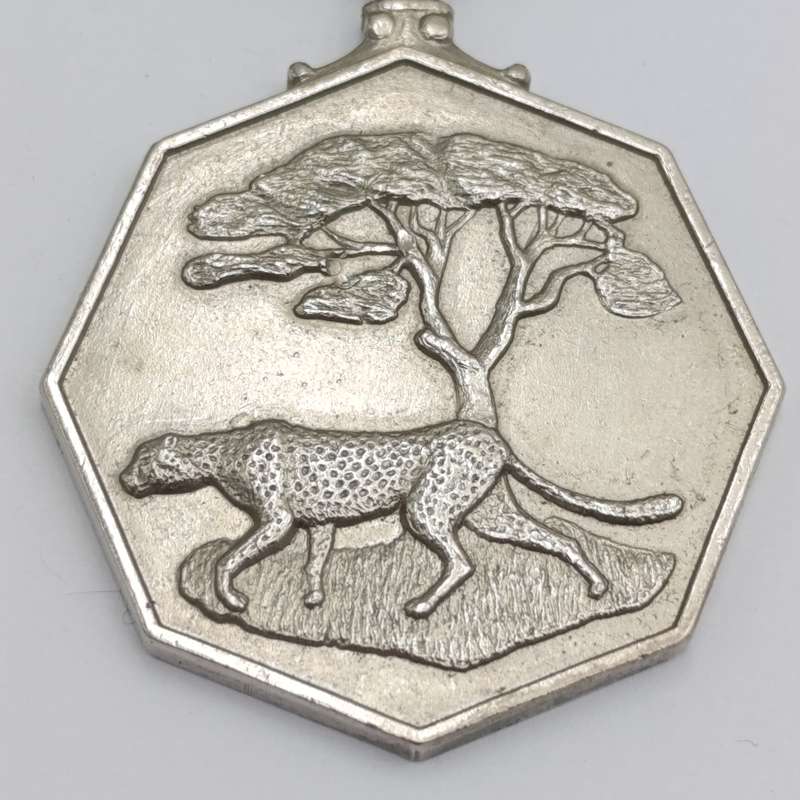 SADF Southern Africa medal #004422