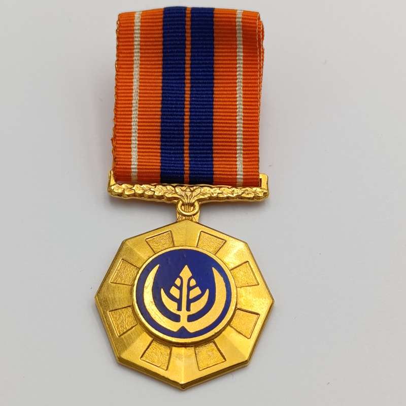 SADF Pro Patria medal - fixed type #184702