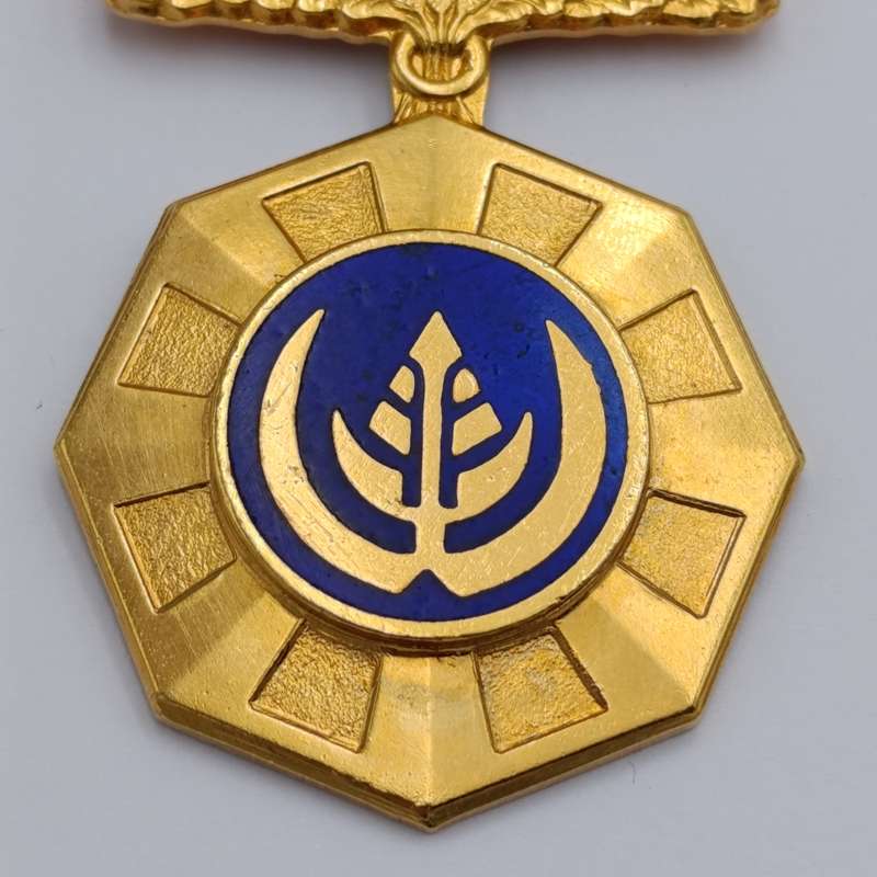 SADF Pro Patria medal - fixed type #184702