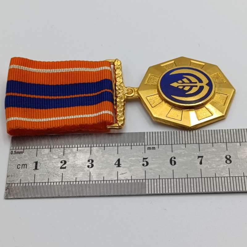 SADF Pro Patria medal - fixed type #184702