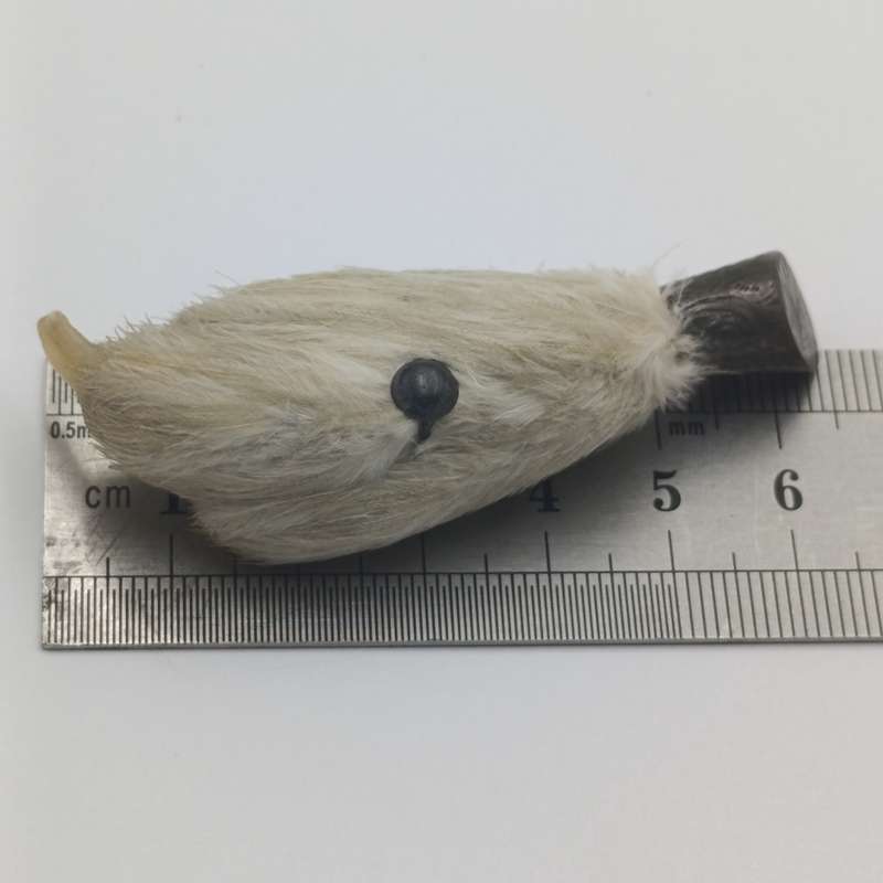 Scottish lucky Grouse claw brooch