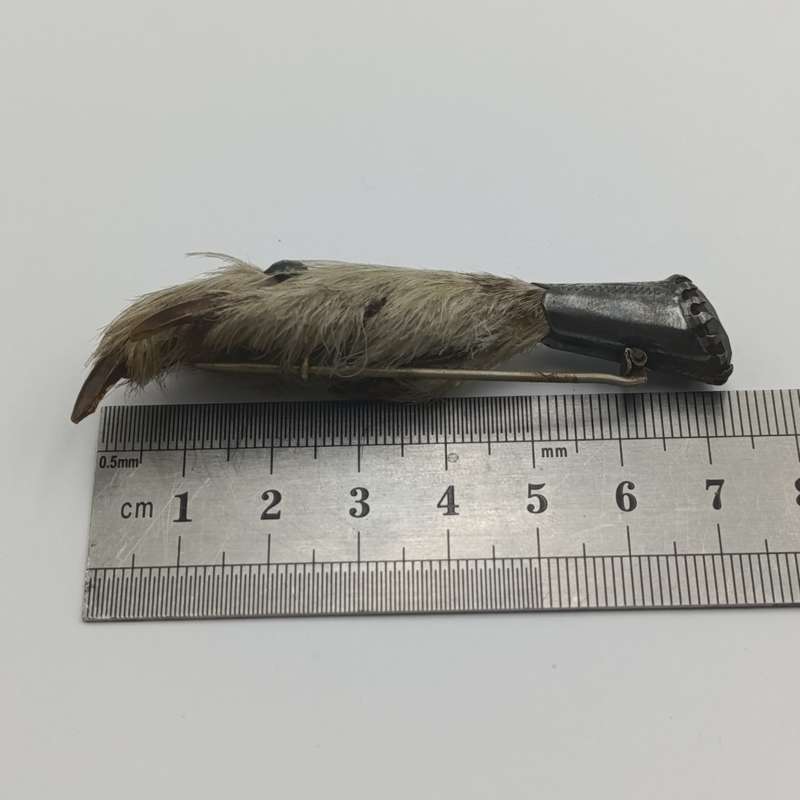 Scottish lucky brooch Grouse claw with Cairngorm