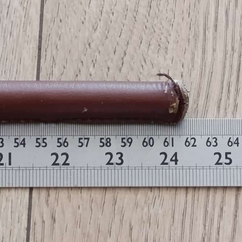 SADF brown leather swagger stick