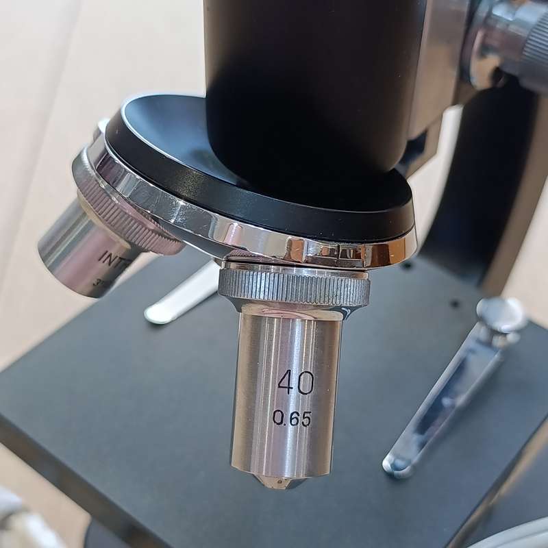 Vintage Intras No.11244 microscope in wooden case