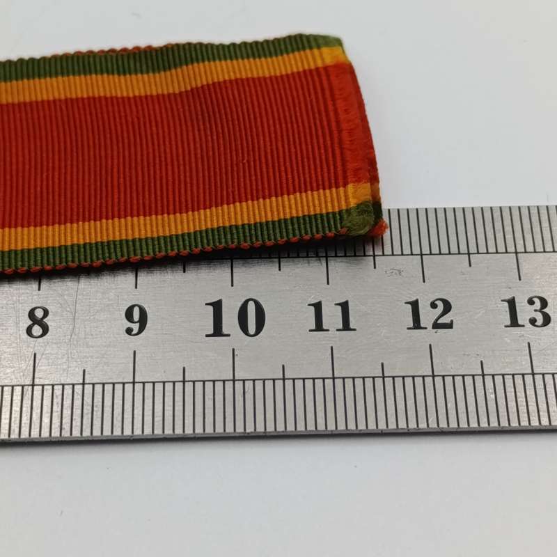 Pair of WW2 medals issued to 193106 W.F Pretorius