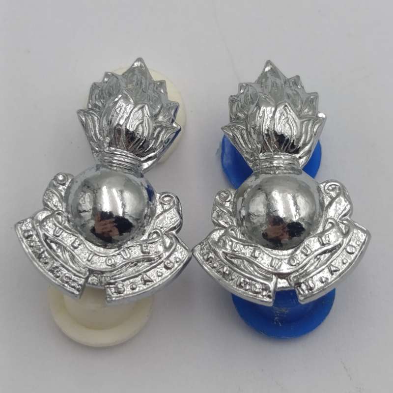 Pair of SADF Engineers mess dress collar badges