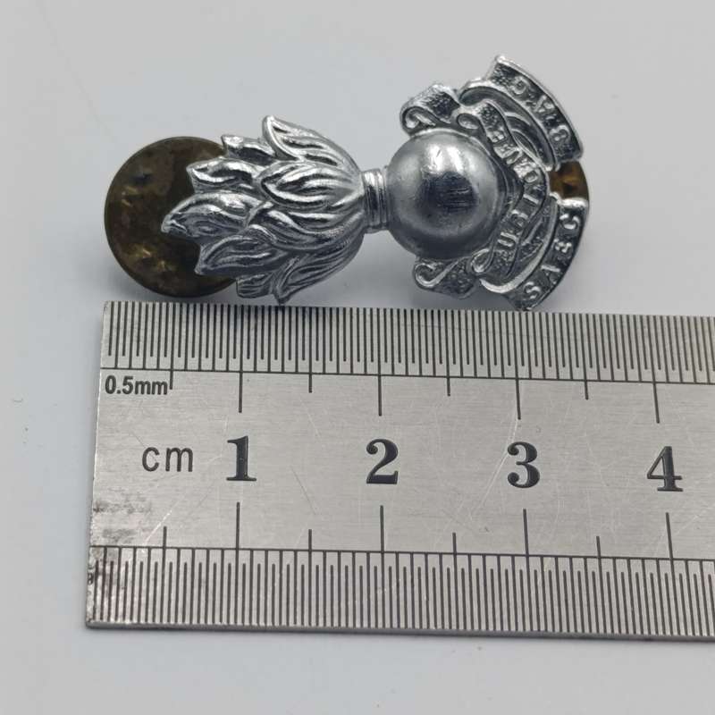 Pair of SADF Engineers collar badges