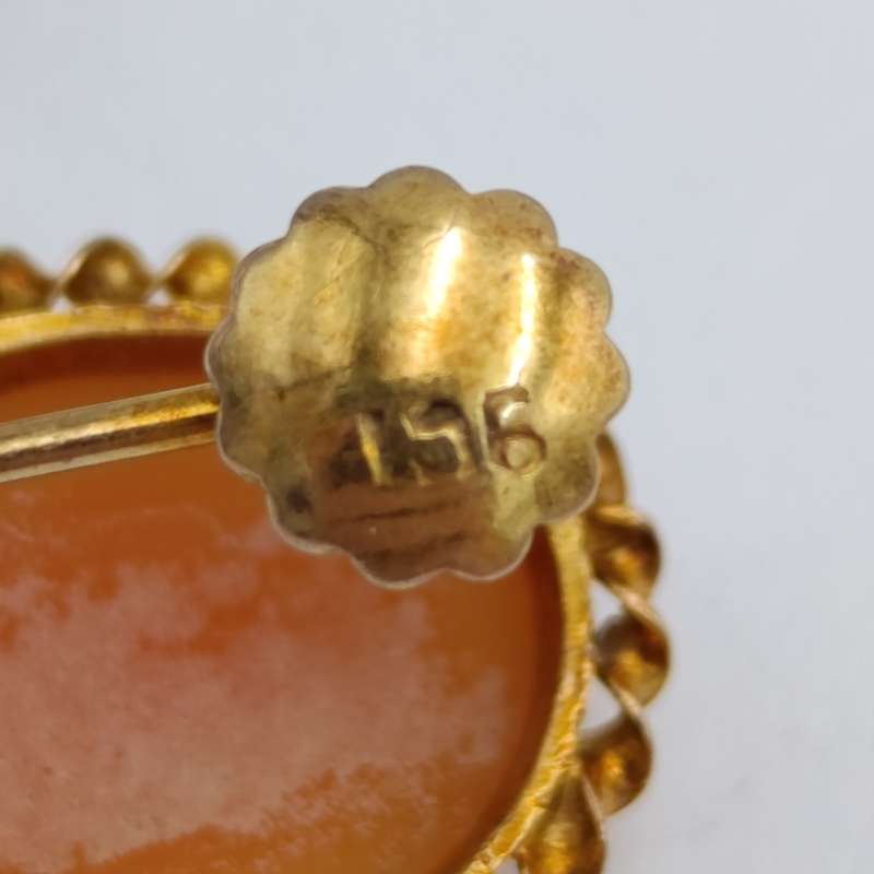 Pair of vintage cameo screw-on earrings in 9kt gold - 3,2g