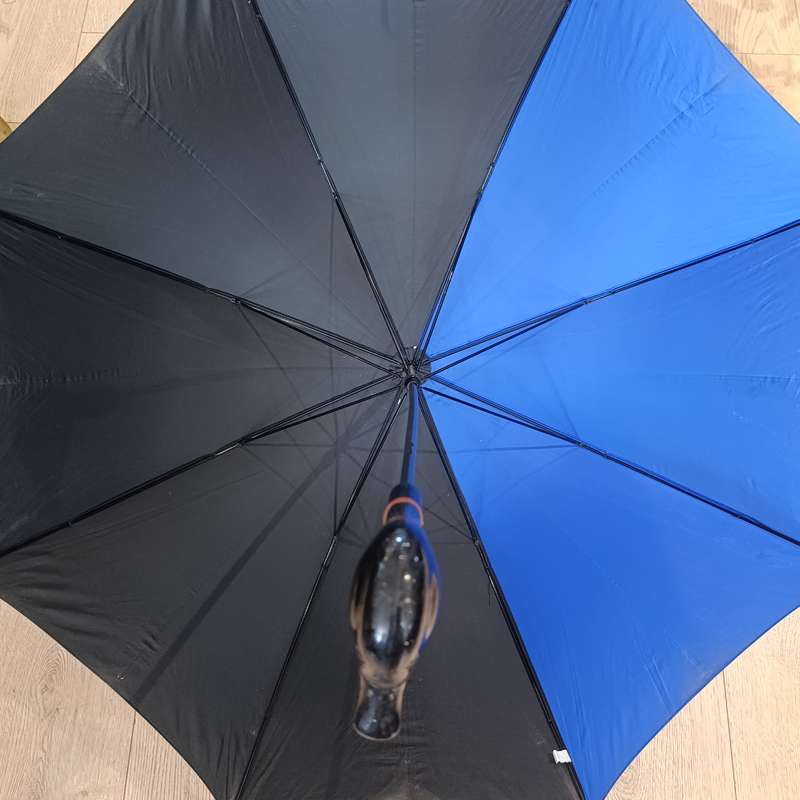 Black and Blue umbrella with duck handle