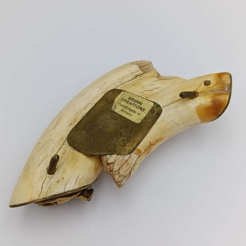 Custom made warthog tooth belt buckle