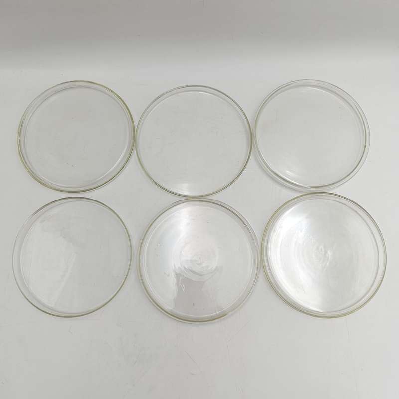 Set of 5 pyrex petri dishes - unused - 14cm x 1.1cm