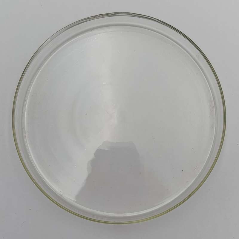 Set of 5 pyrex petri dishes - unused - 14cm x 1.1cm