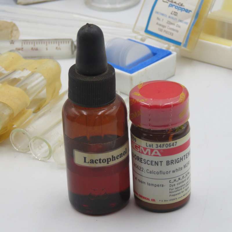 Lot of lab equipment including box of objective and deck glasses - also glass injection and bottle.