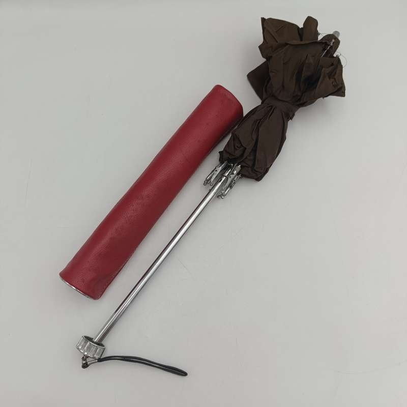 Vintage Umbrella in bag