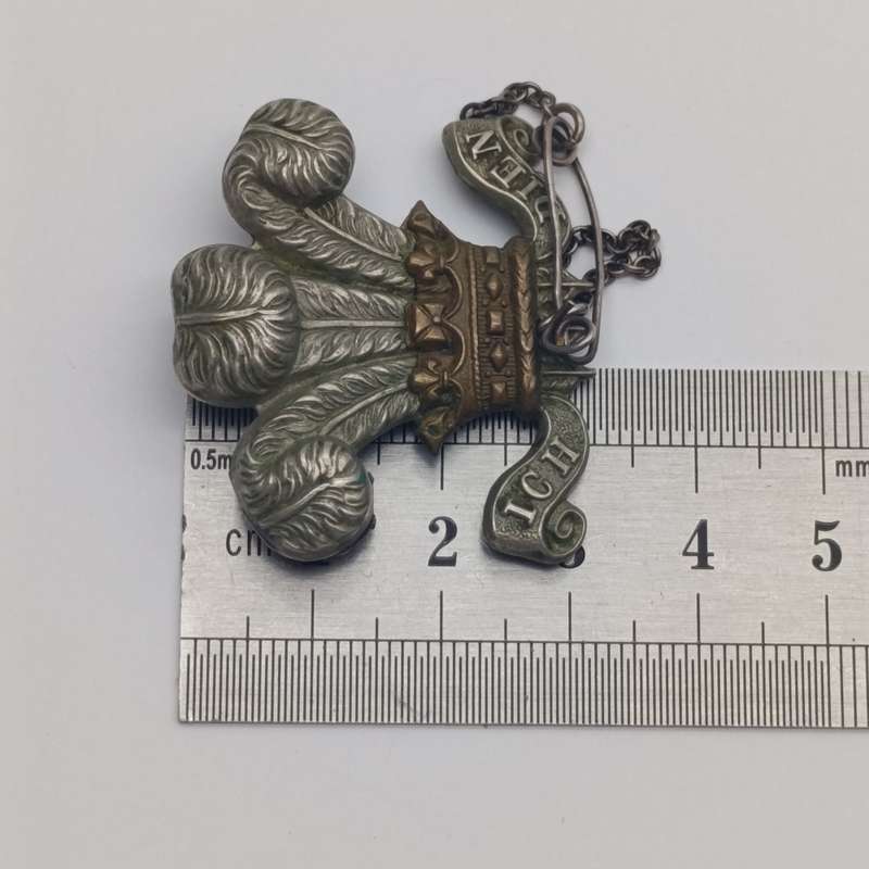 Royal Army Welsh regiment sweetheart badge