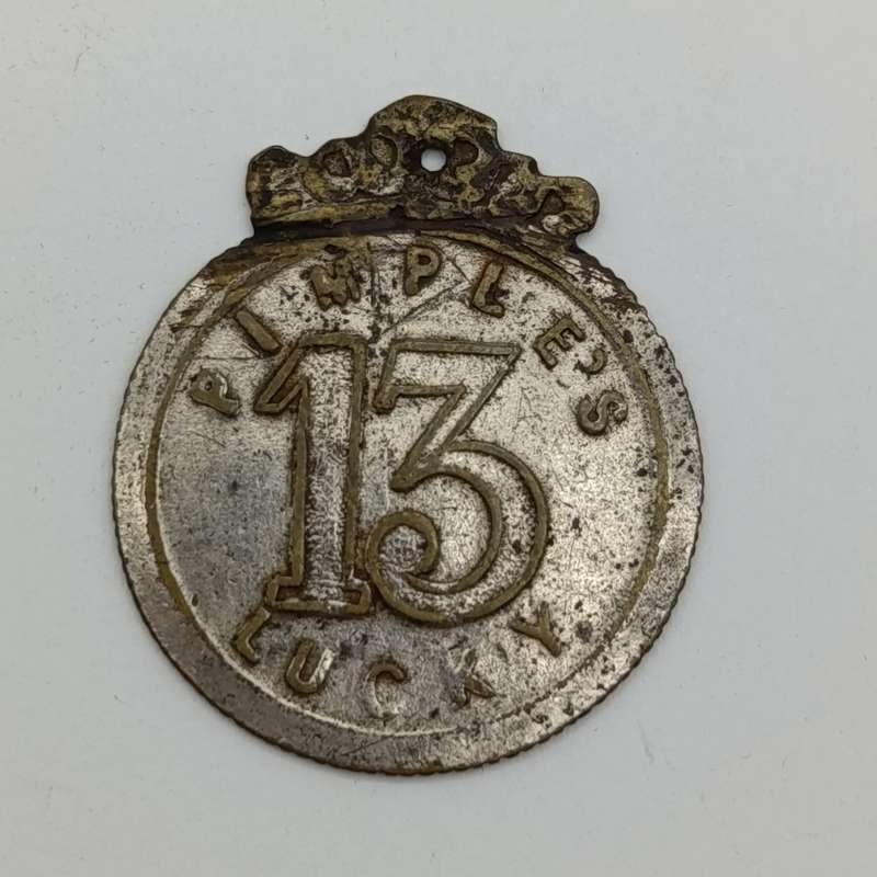 Ripley's 13 - wear this for luck medallion