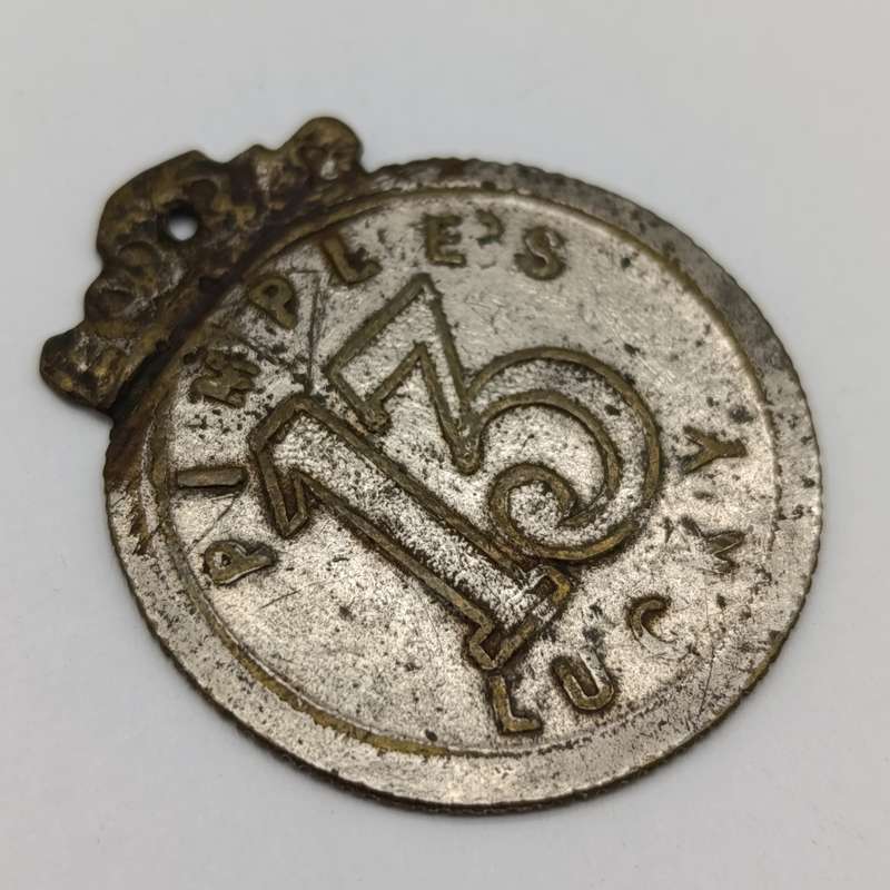 Ripley's 13 - wear this for luck medallion
