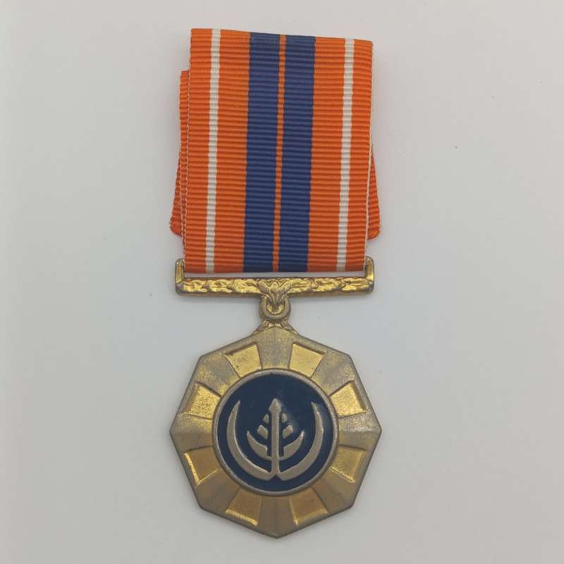 SADF Pro Patria medal - fixed type - #358255