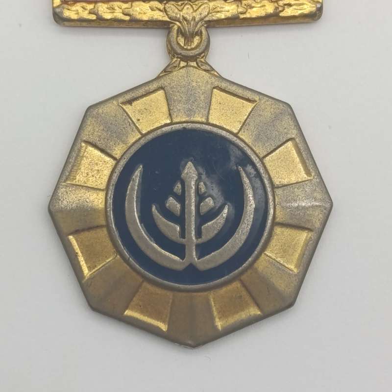 SADF Pro Patria medal - fixed type - #358255