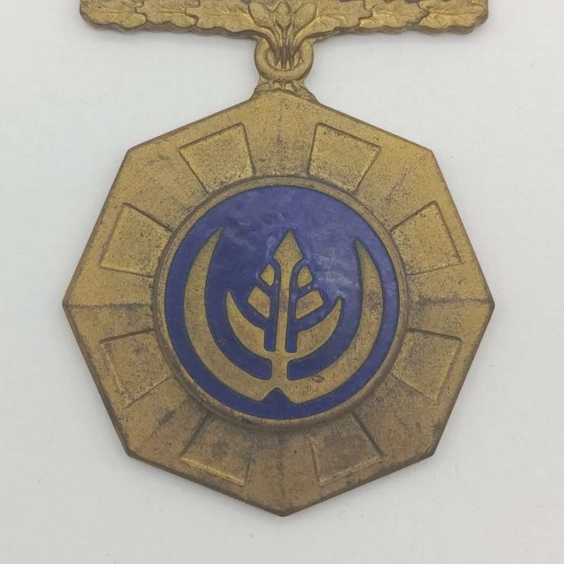 SADF Pro Patria medal - fixed type - #161103
