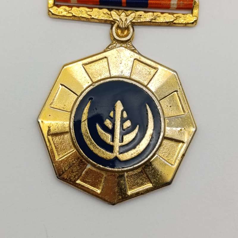 SADF Pro Patria medal with ribbon bar #362578