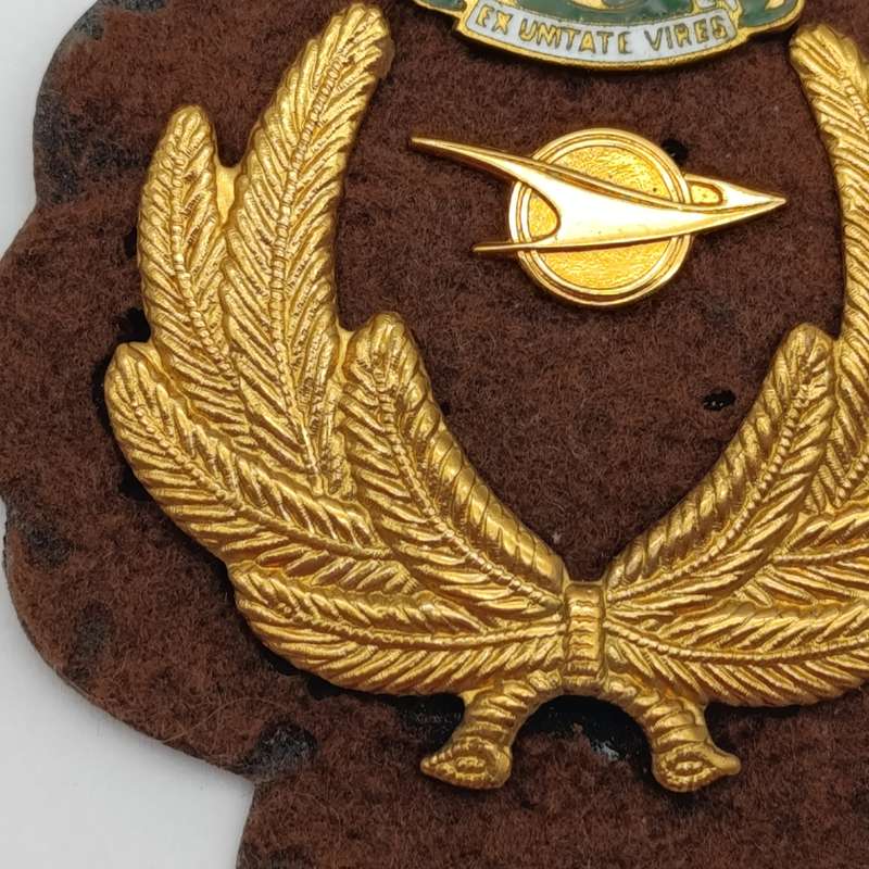 SA Railways officer cap badge