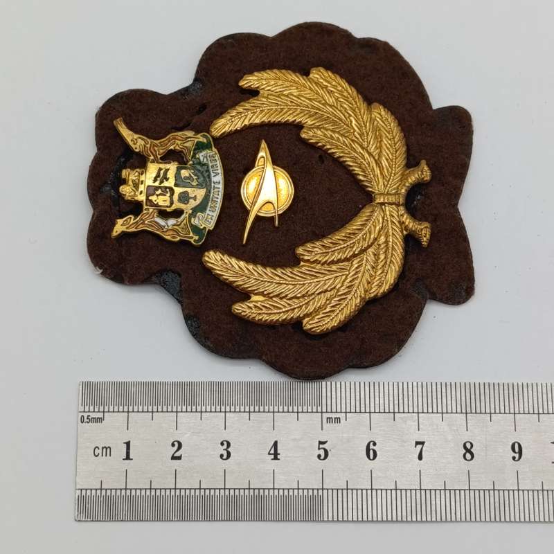 SA Railways officer cap badge