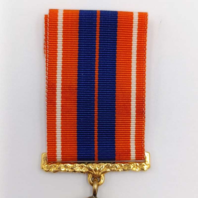 SADF Pro Patria medal - Swivel type - #13210
