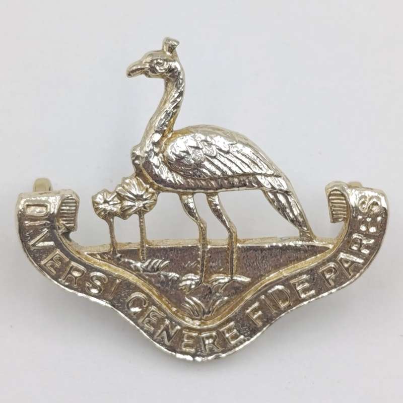 Pair of Northern Rhodesia regiment collar badges