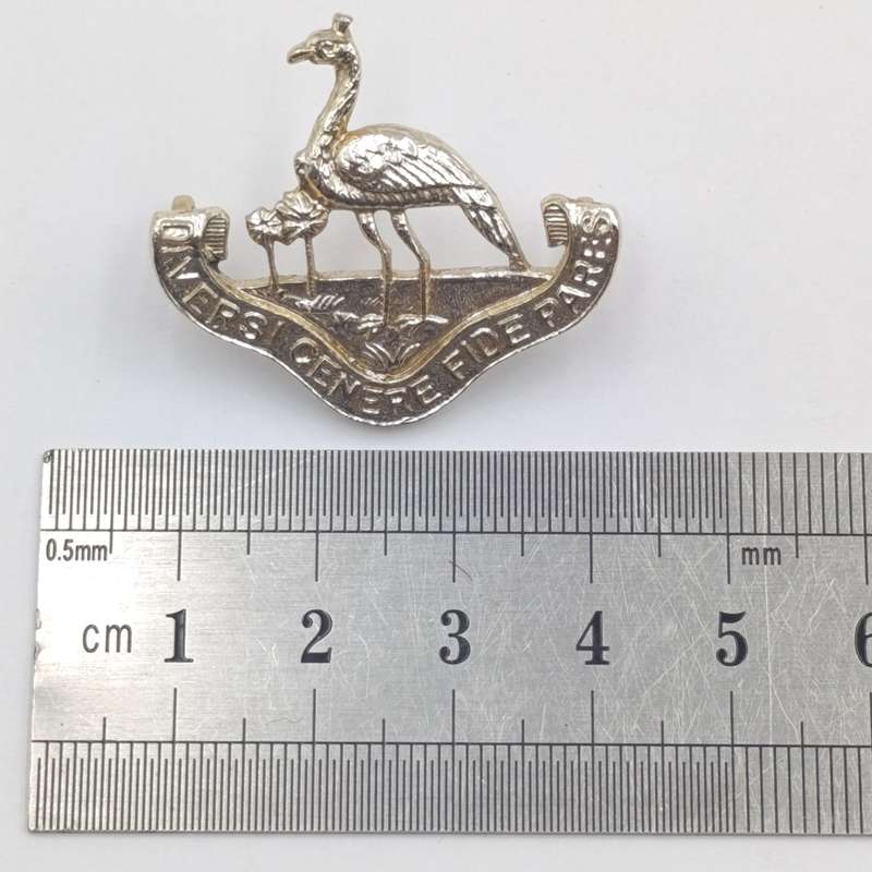 Pair of Northern Rhodesia regiment collar badges
