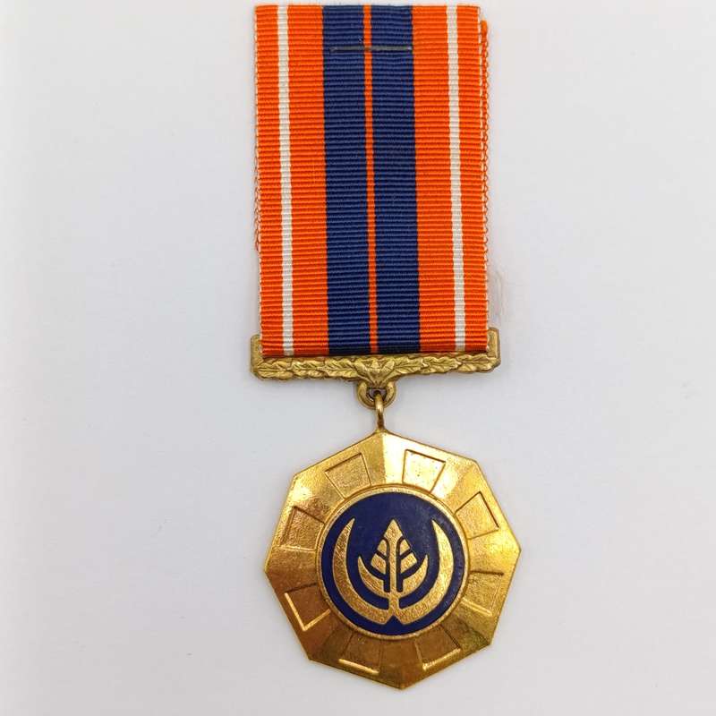 SADF Pro Patria medal - Swivel type - #77633