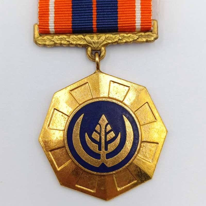 SADF Pro Patria medal - Swivel type - #77633