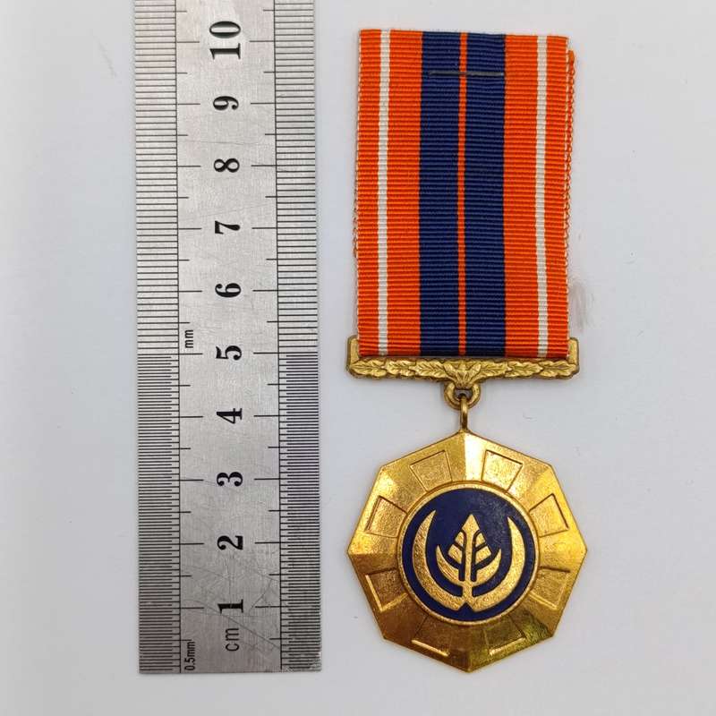 SADF Pro Patria medal - Swivel type - #77633