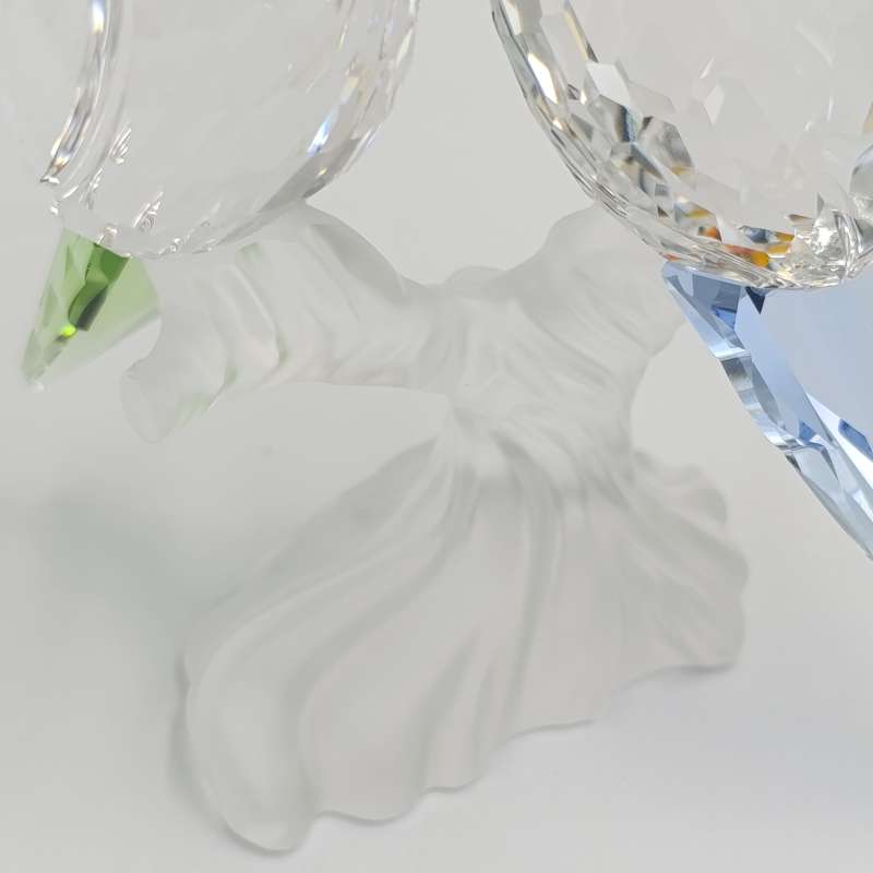 Swarovski Crystal Budgies figurine in box