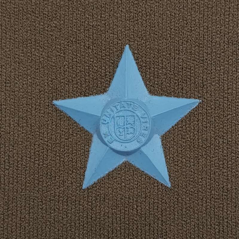 Pair of SA Air Force second lieutenant rank epaulettes