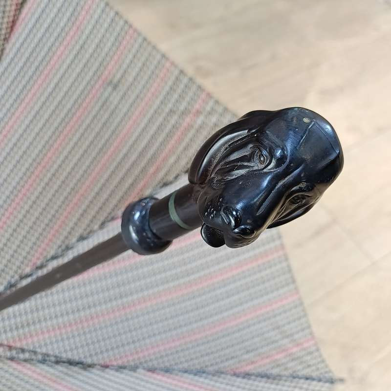 Aramis Profound Hound umbrella