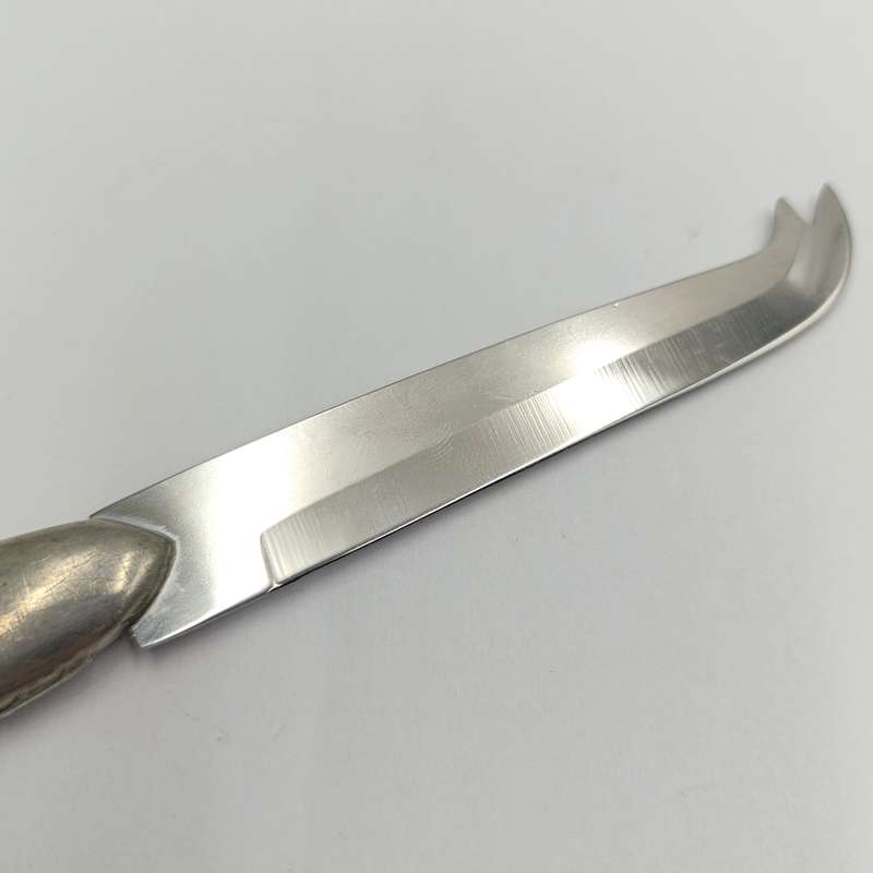 Carrol Boyes cheese knife