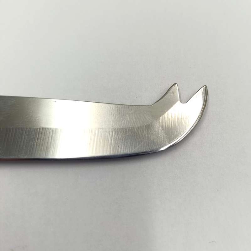 Carrol Boyes cheese knife