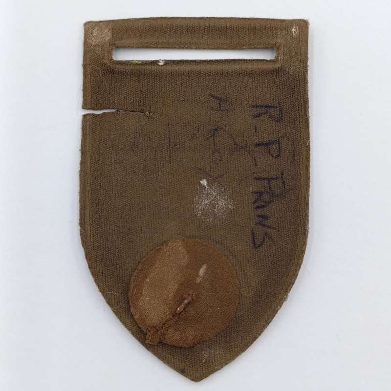 SADF Cape Corps tupperware flash - damaged