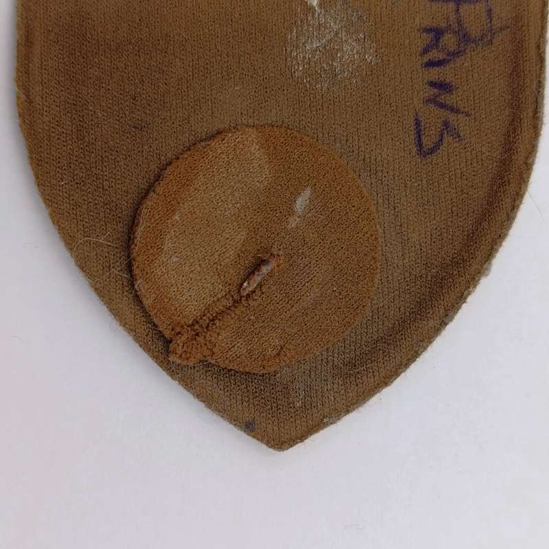SADF Cape Corps tupperware flash - damaged