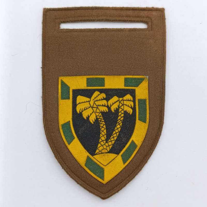 SADF 53 SA Infantry battalion tupperware flash