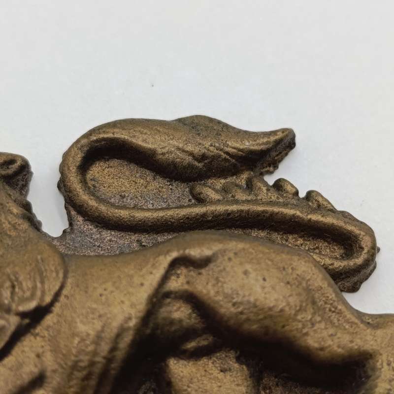 SA Navy solid brass Lion crest
