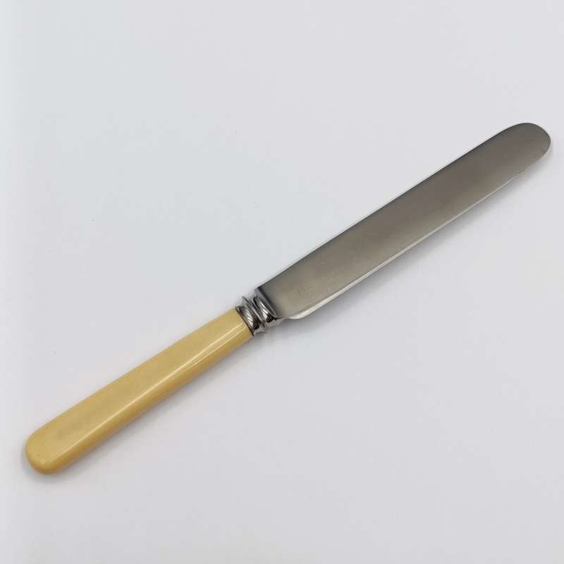 Set of 12 Antique Stainless Sheffield knives with imitation bone handles in original case