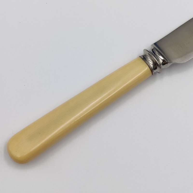 Set of 12 Antique Stainless Sheffield knives with imitation bone handles in original case