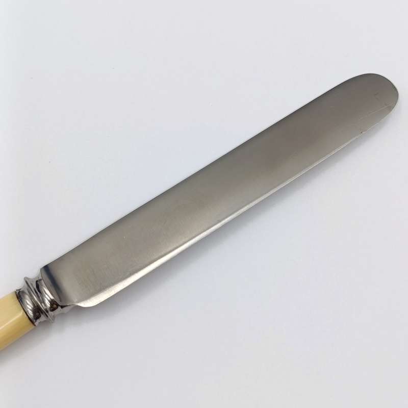 Set of 12 Antique Stainless Sheffield knives with imitation bone handles in original case