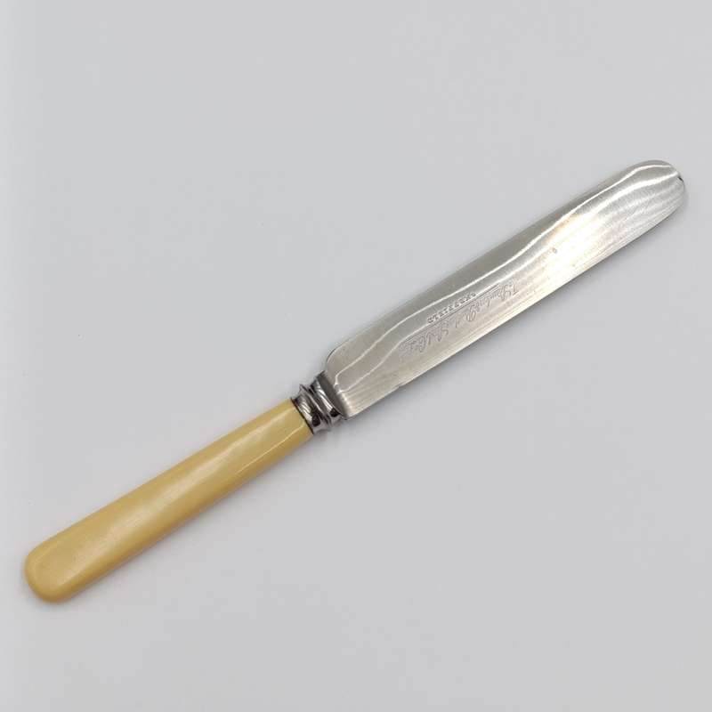 Set of 12 Antique Stainless Sheffield knives with imitation bone handles in original case
