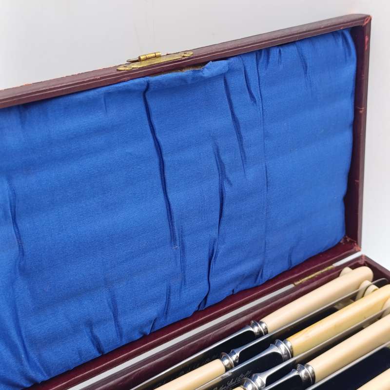 Set of 12 Antique Stainless Sheffield knives with imitation bone handles in original case