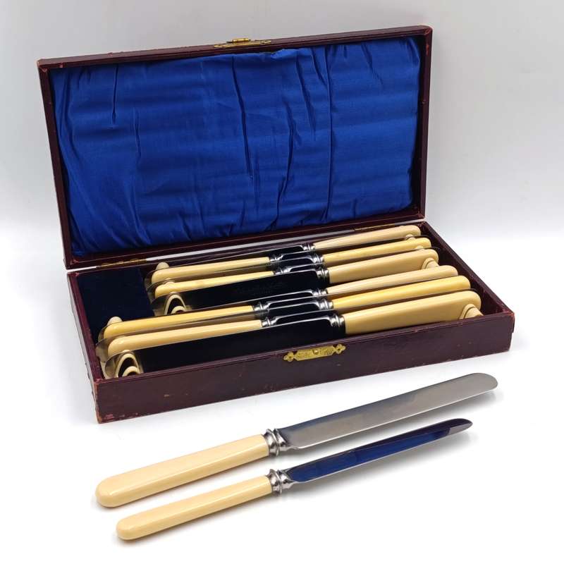 Set of 12 Antique Stainless Sheffield knives with imitation bone handles in original case