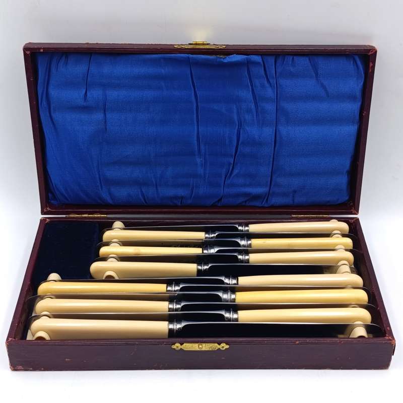 Set of 12 Antique Stainless Sheffield knives with imitation bone handles in original case