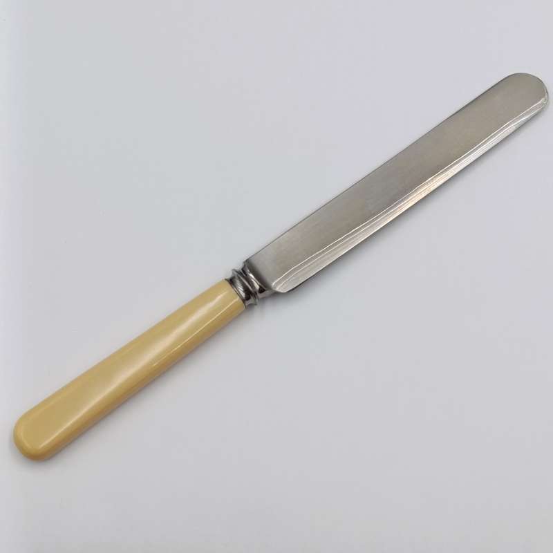 Set of 12 Antique Stainless Sheffield knives with imitation bone handles in original case